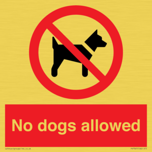 No dogs allowed